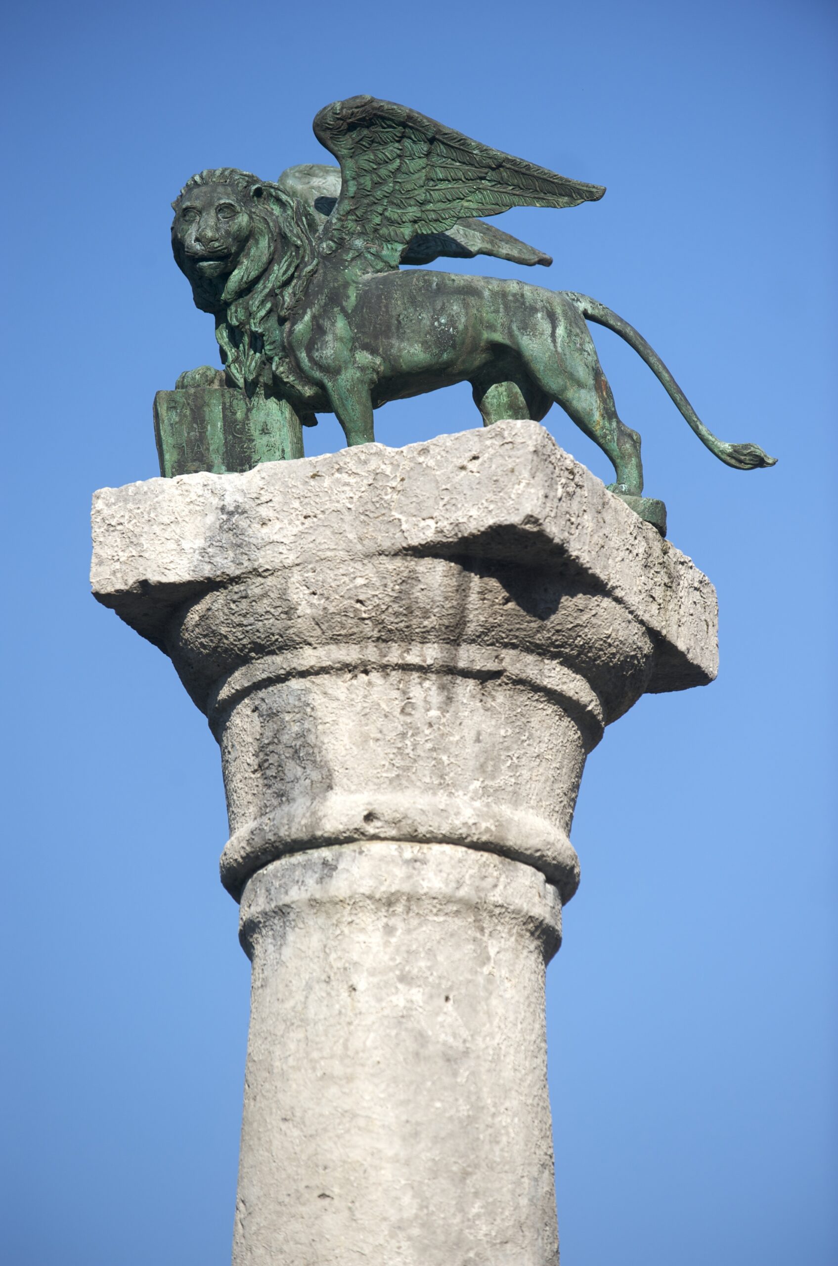 Colonna Fidelitas Taleggii